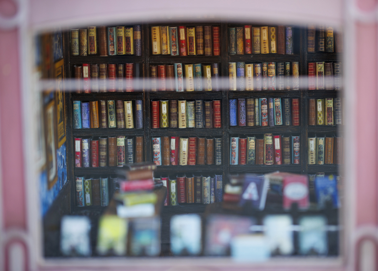 Librería en miniatura.