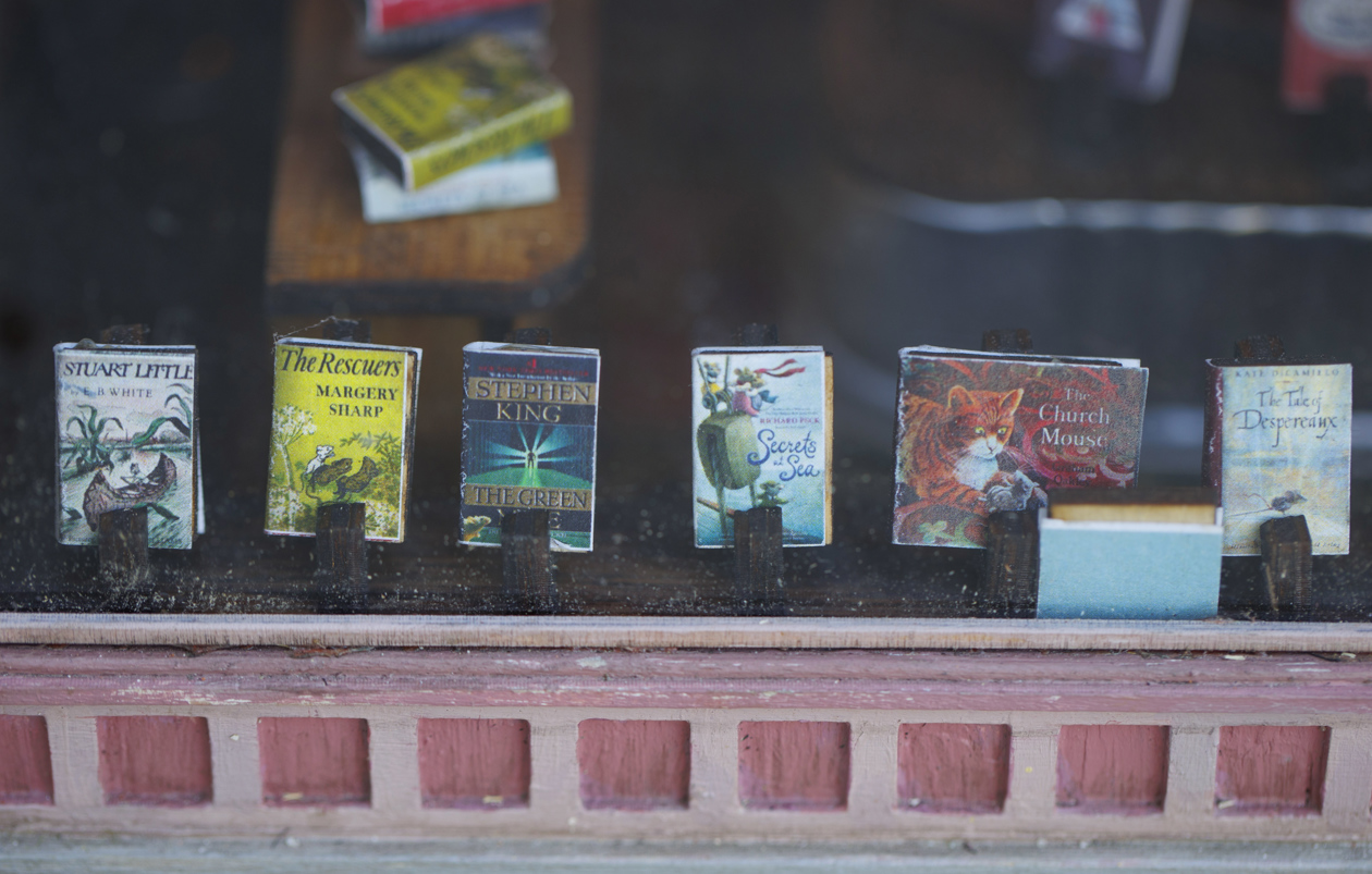 Librería en miniatura.