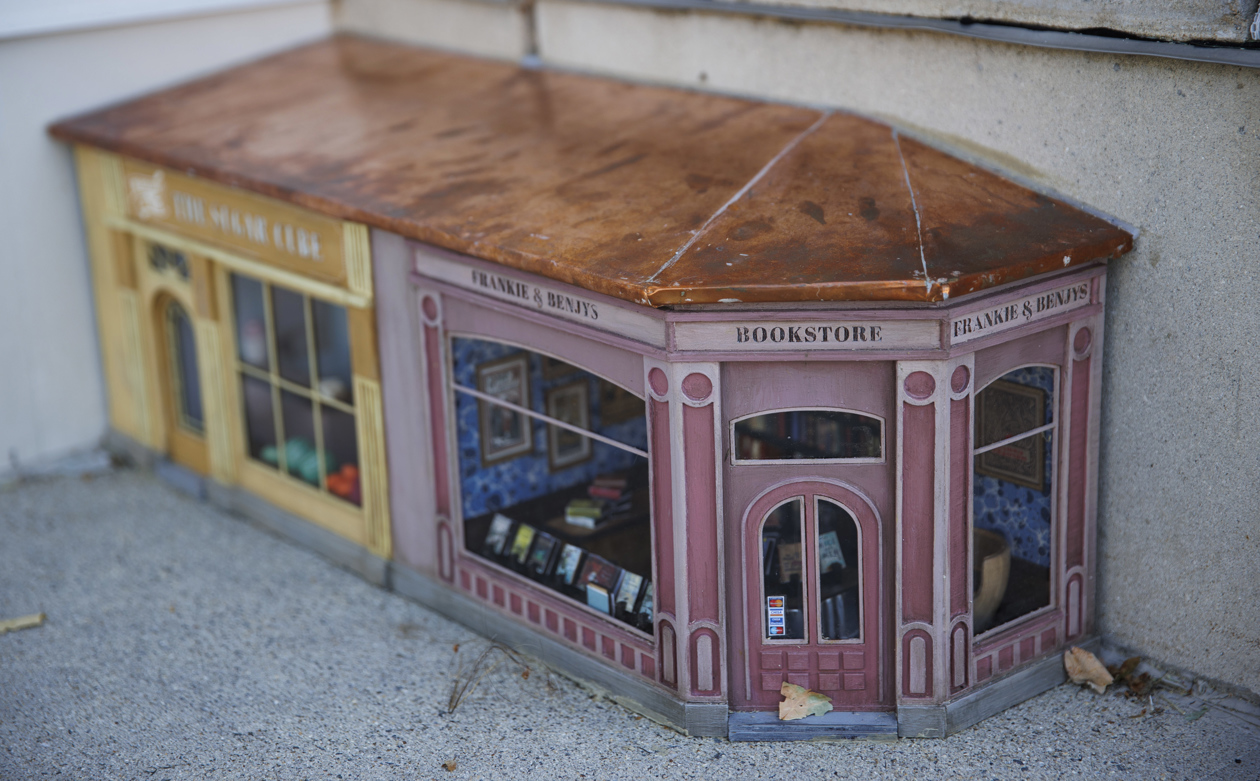 Librería en miniatura.