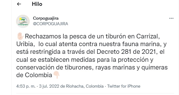 El trino de Corpoguajira rechazando la caza del tiburón.