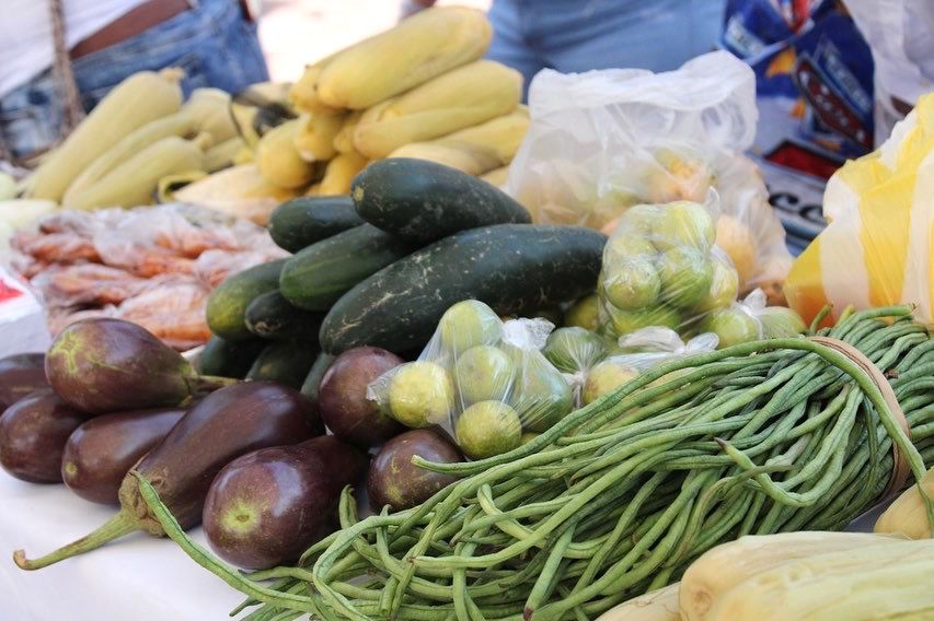 Productos agrícolas.