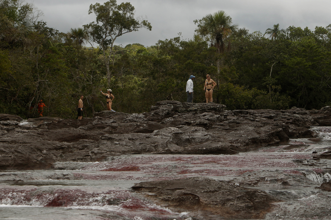 Para las autoridades del Meta, con Caño Cristales se puede liderar un turismo de altísimo nivel.