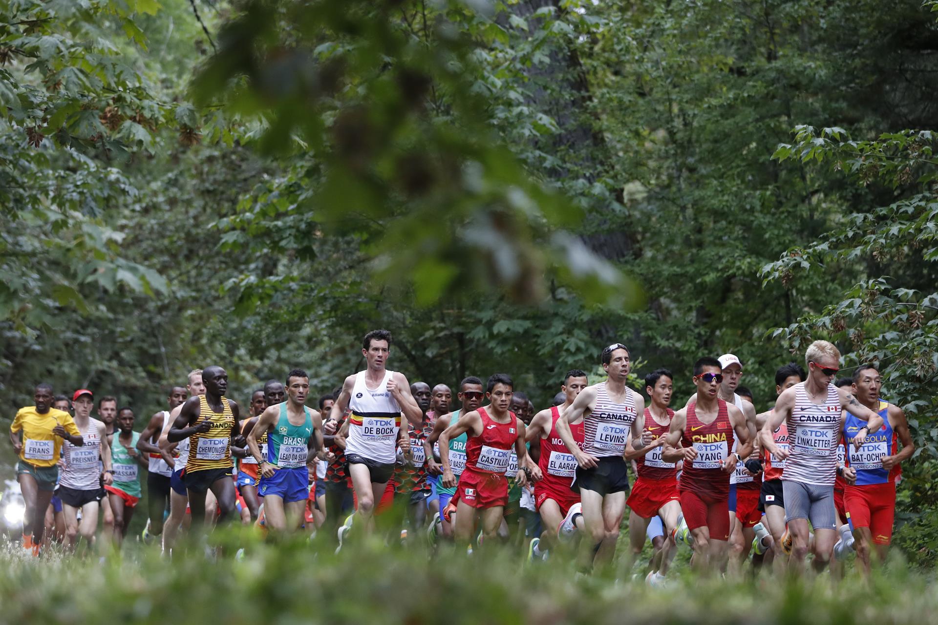 Atletas en la maratón de atletismo. 