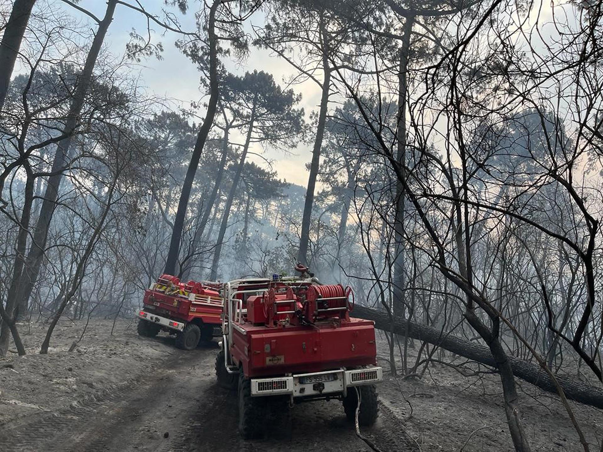 En Burdeos más de 20.000 hectáreas fueron arrasadas.