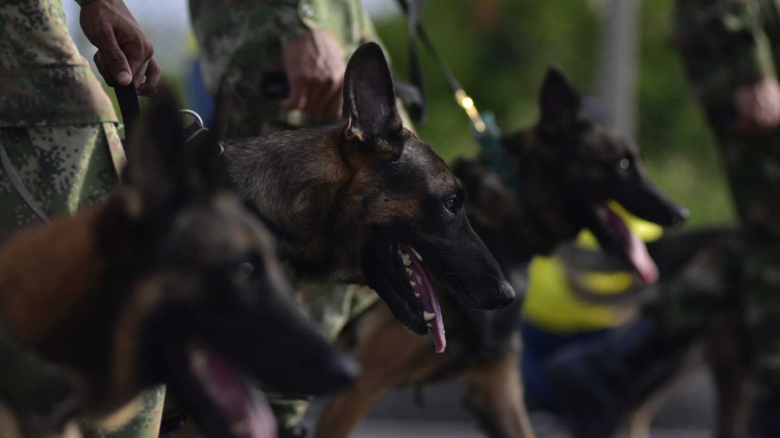 Barranquilla celebró el Día de la Independencia con imponente desfile militar en el Malecón del Río.
