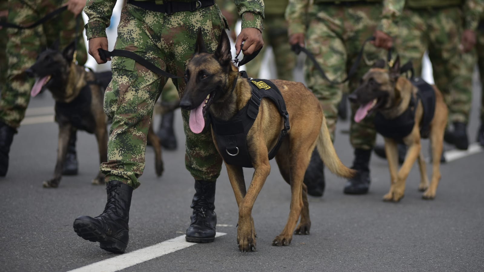 Barranquilla celebró el Día de la Independencia con imponente desfile militar en el Malecón del Río.
