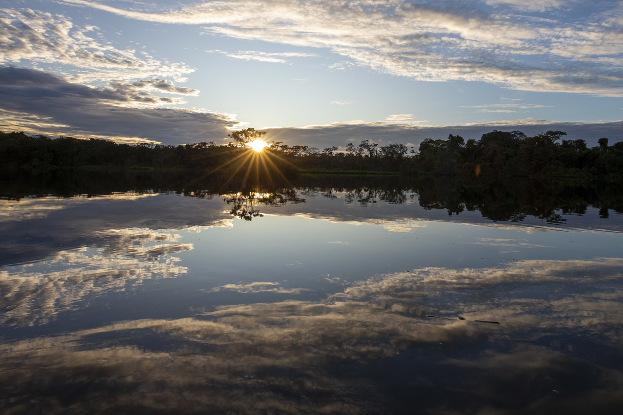Vista de las orillas de la Laguna Grande de Cuyabeno.