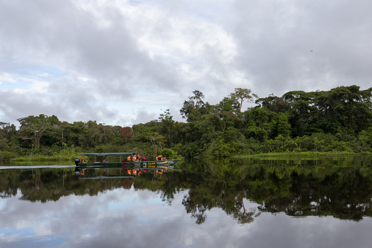 Vista de las orillas de la Laguna Grande de Cuyabeno.