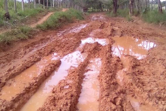 Así permanecen las vías de acceso a la IE Antonio Nariño en la ola invernal.