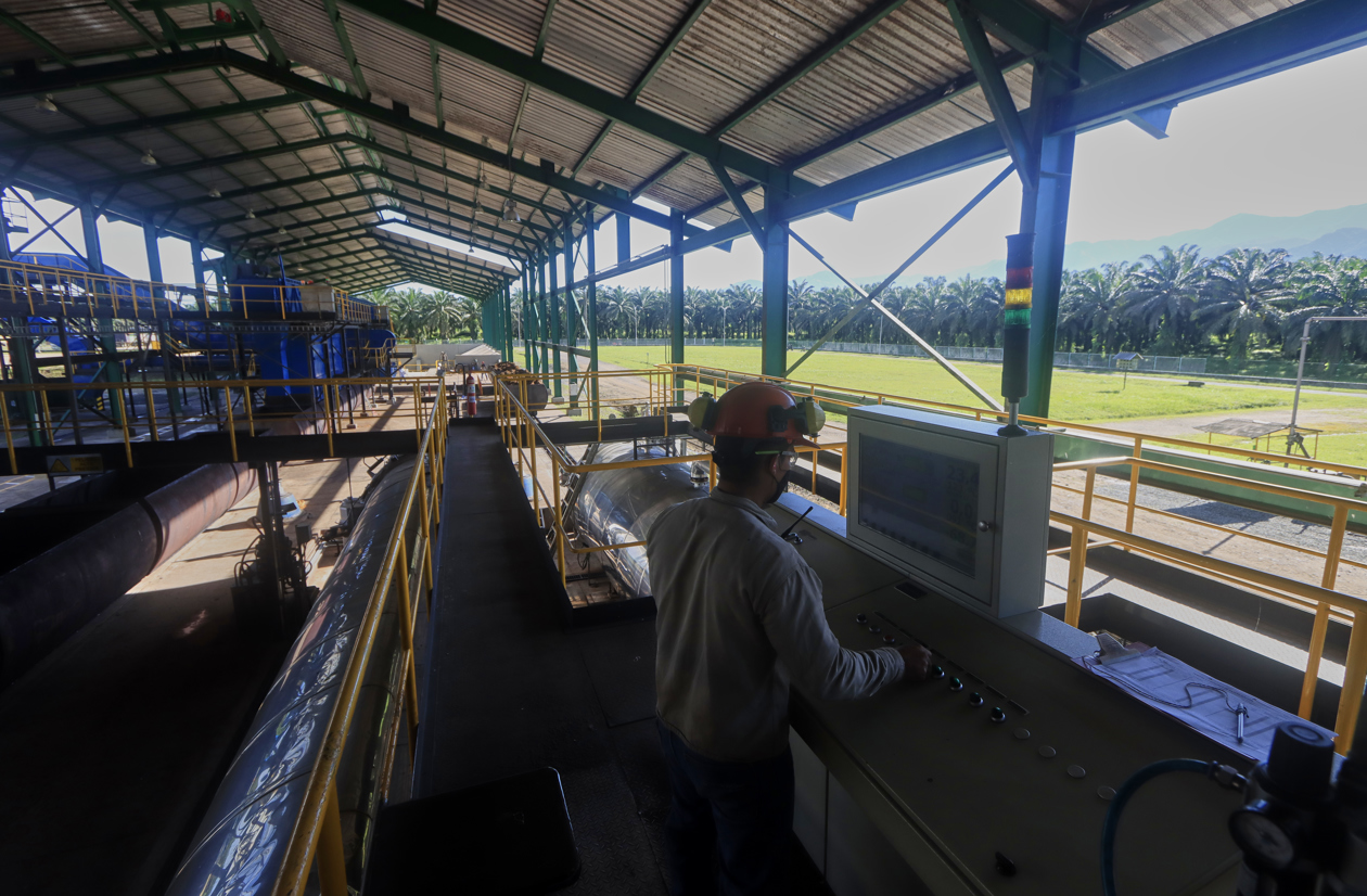 Trabajador de la empresa Palmas del Cesar.
