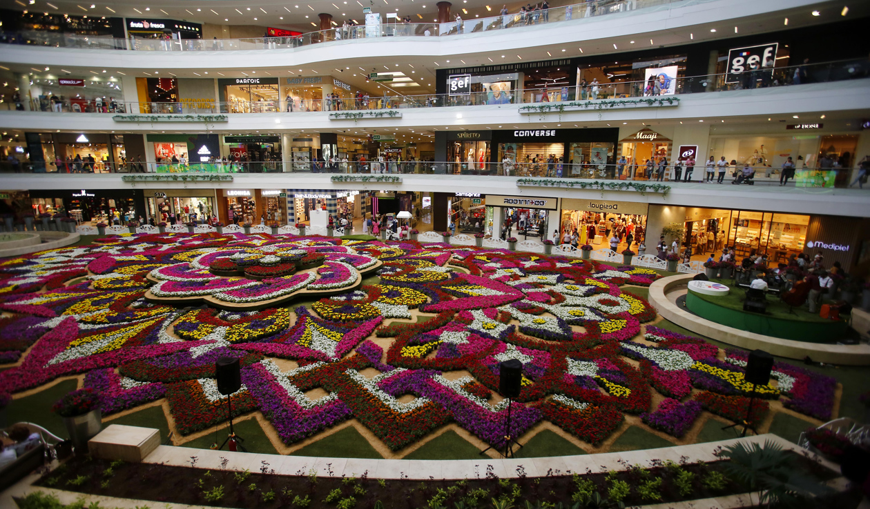 Majestuoso tapete floral.