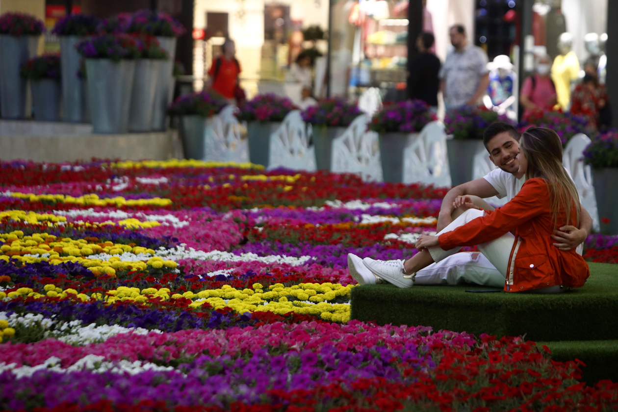Majestuoso tapete floral.