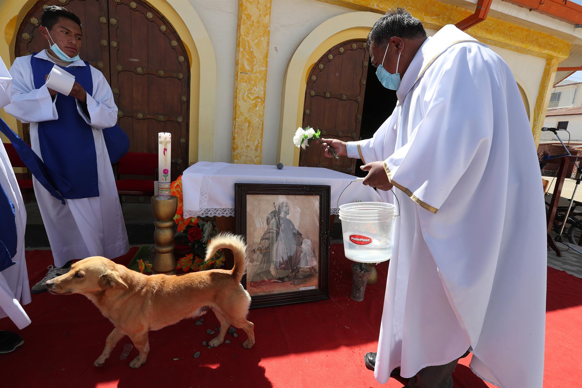El sacerdote Justino Limachi observa al fiel guardián de la parroquia, el pequeño Gugui, durante la misa a San Roque