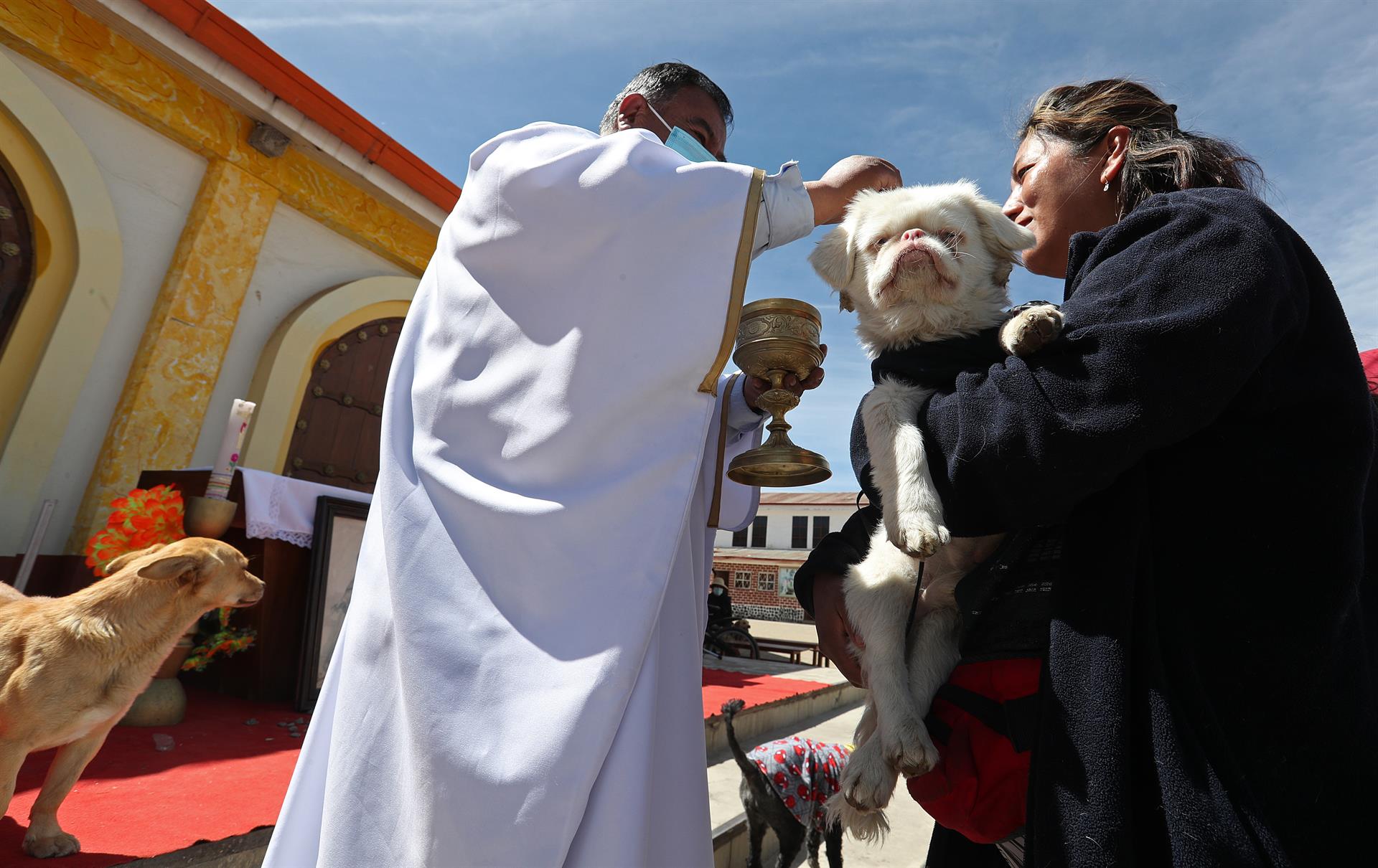 "Le bendigo a su fiel mejor amigo", le dijo el sacerdote a este feligrés.