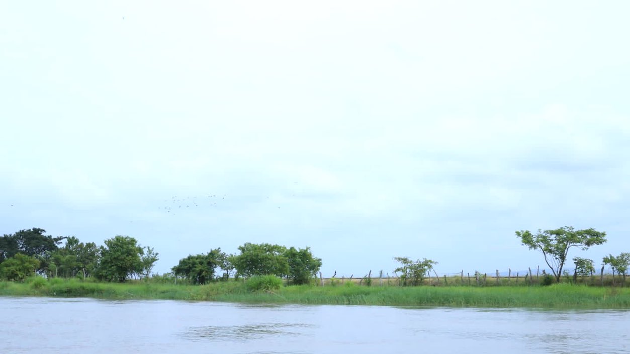 El Canal del Dique atraviesa por los departamentos de Atlántico, Bolívar y Sucre.