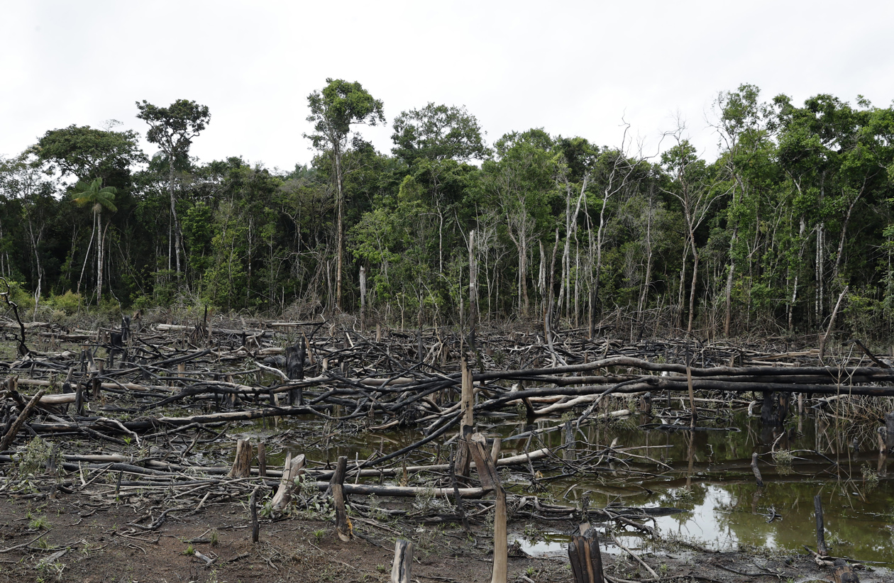 Selva amazónica deforestada en San José del Guaviare. 