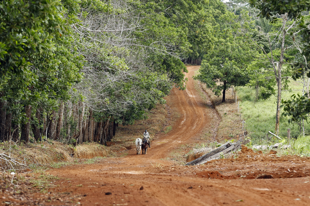 Selva amazónica deforestada en San José del Guaviare. 