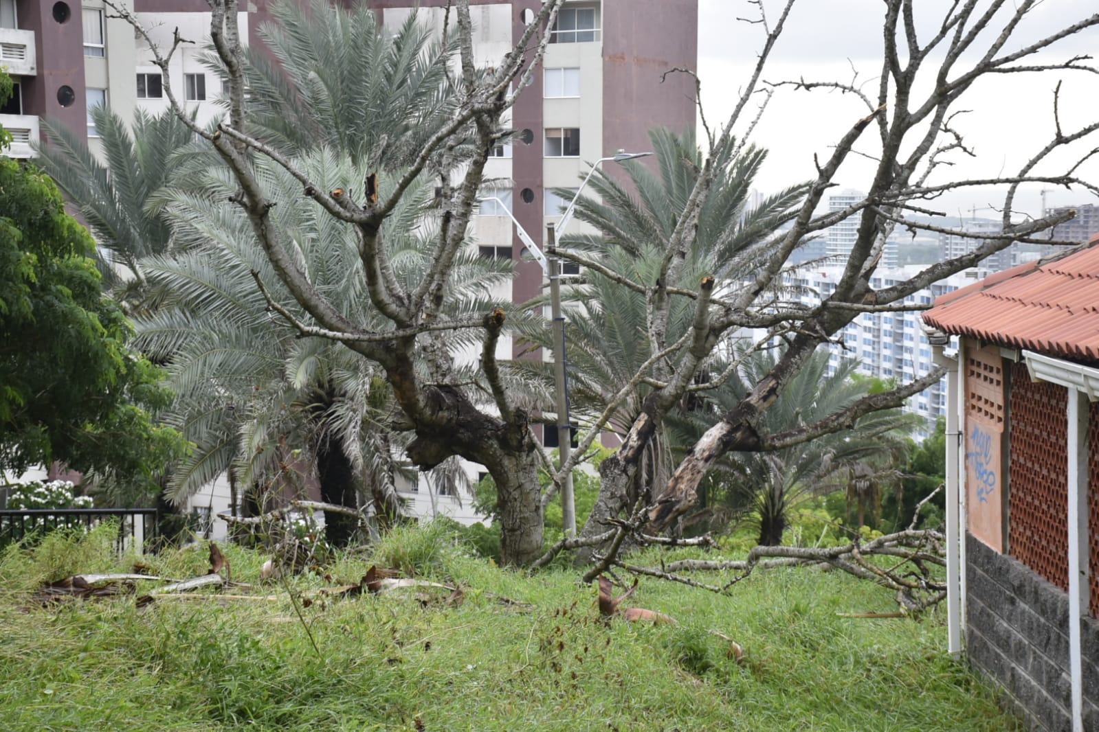 Miramar fue la zona más afectada por el vebndaval.