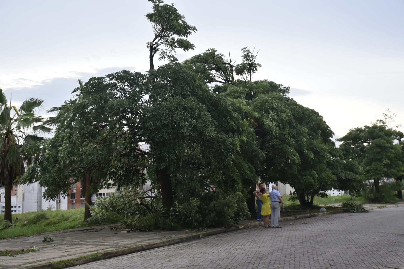 En el norte de Barranquilla se concentró emergencia por vendaval