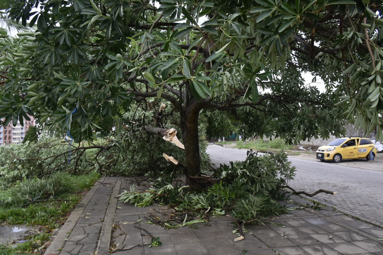 En el norte de Barranquilla se concentró emergencia por vendaval