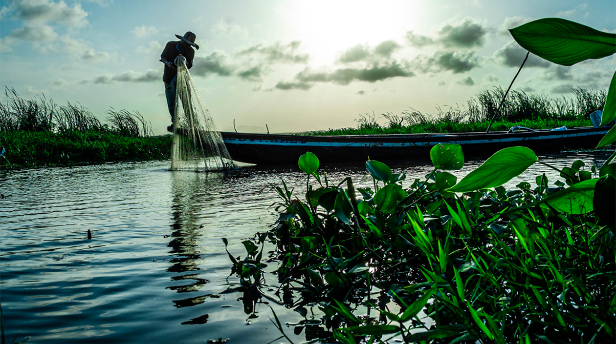 Primer puesto categoría 'Profesional': 'El sol y el pescador'.