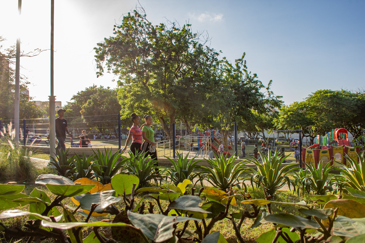 Arborización que rodea el parque Sagrado Corazón.