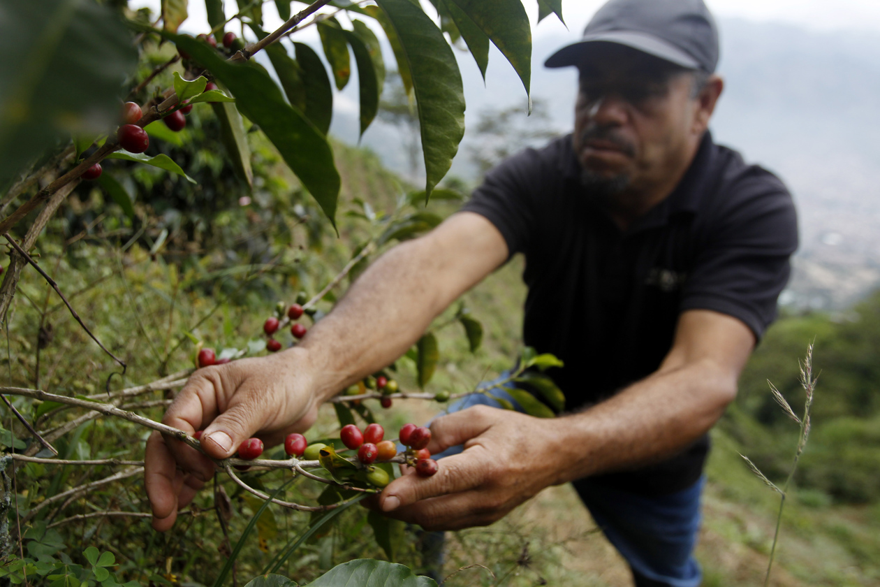 Walter Enrique Patiño, propietario de la finca "Nuevo Cielo".