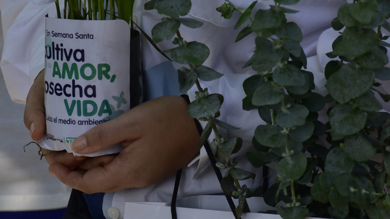  CRA promovió la campaña “Siembra vida”