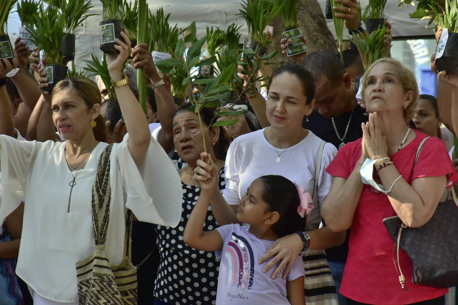 Católicos celebraron la entrada triunfal de Jesús en misa del Domingo de Ramos 