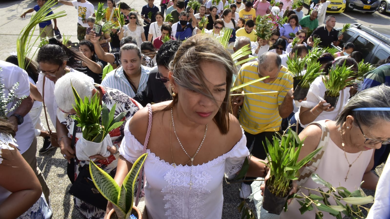 Feligresía en procesión del Domingo de Ramos