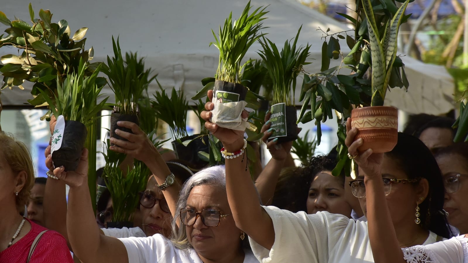 Con palmas y ramas de olivo la feligresía celebró el Domingo de Ramos