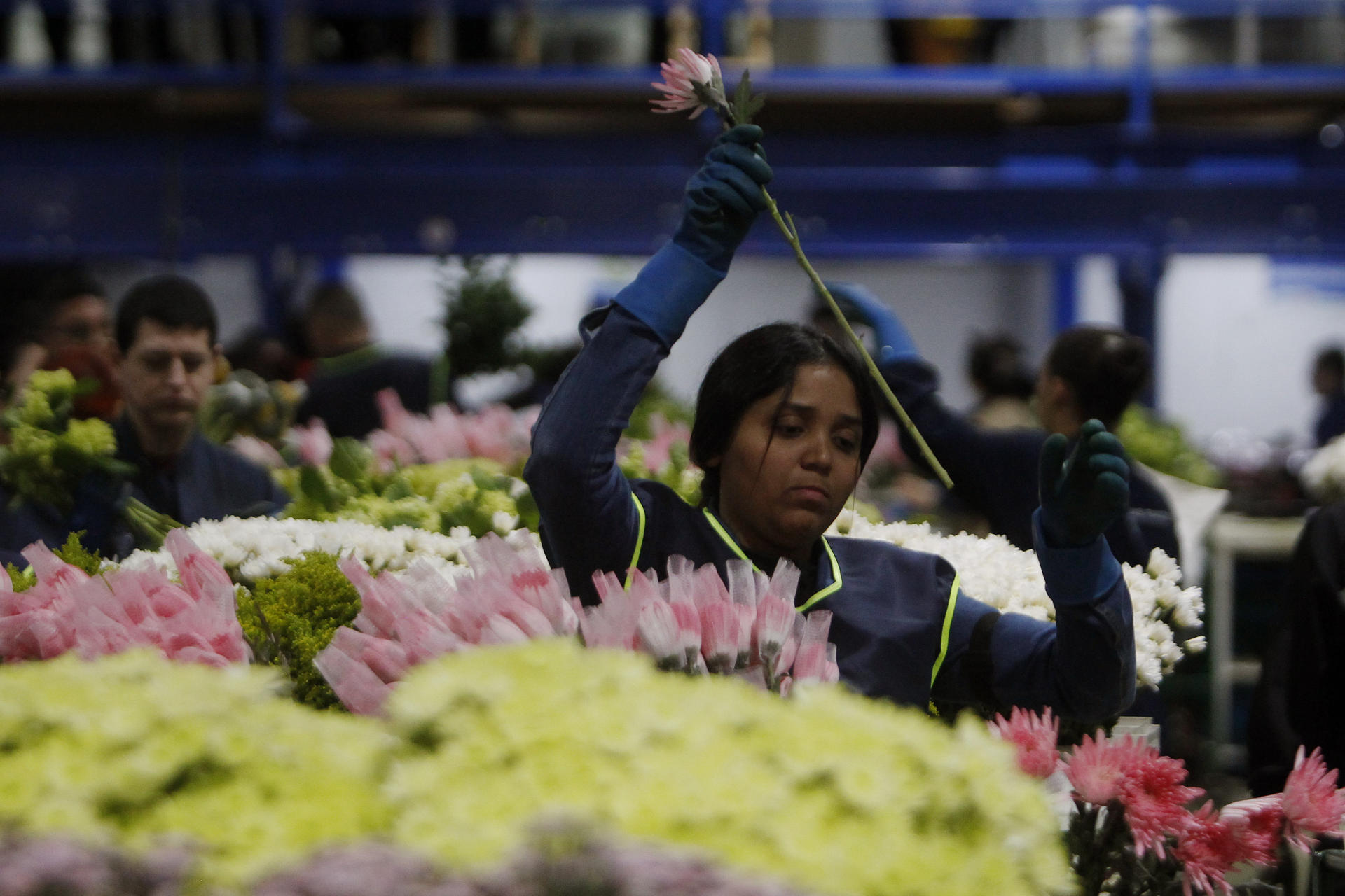 Producción de ramos de flores