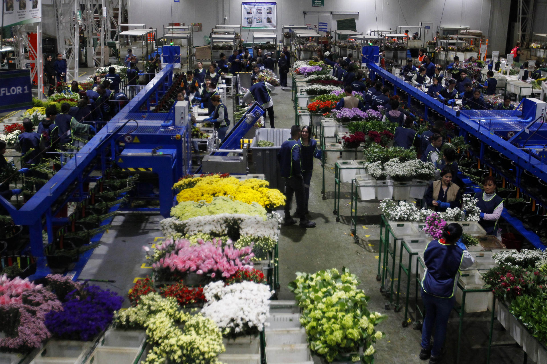 Planta de producción de ramos de flores