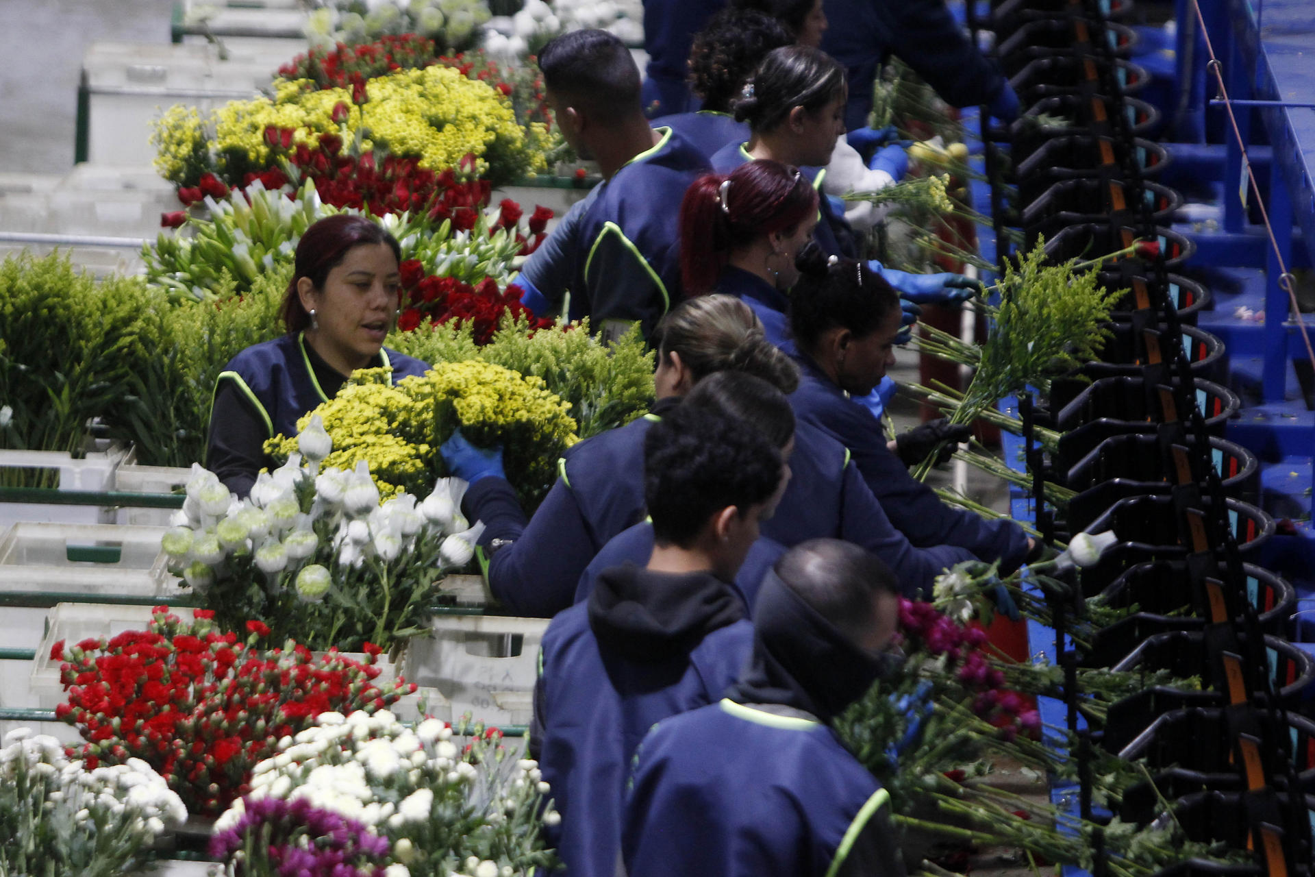 Área de producción para ramos de flores