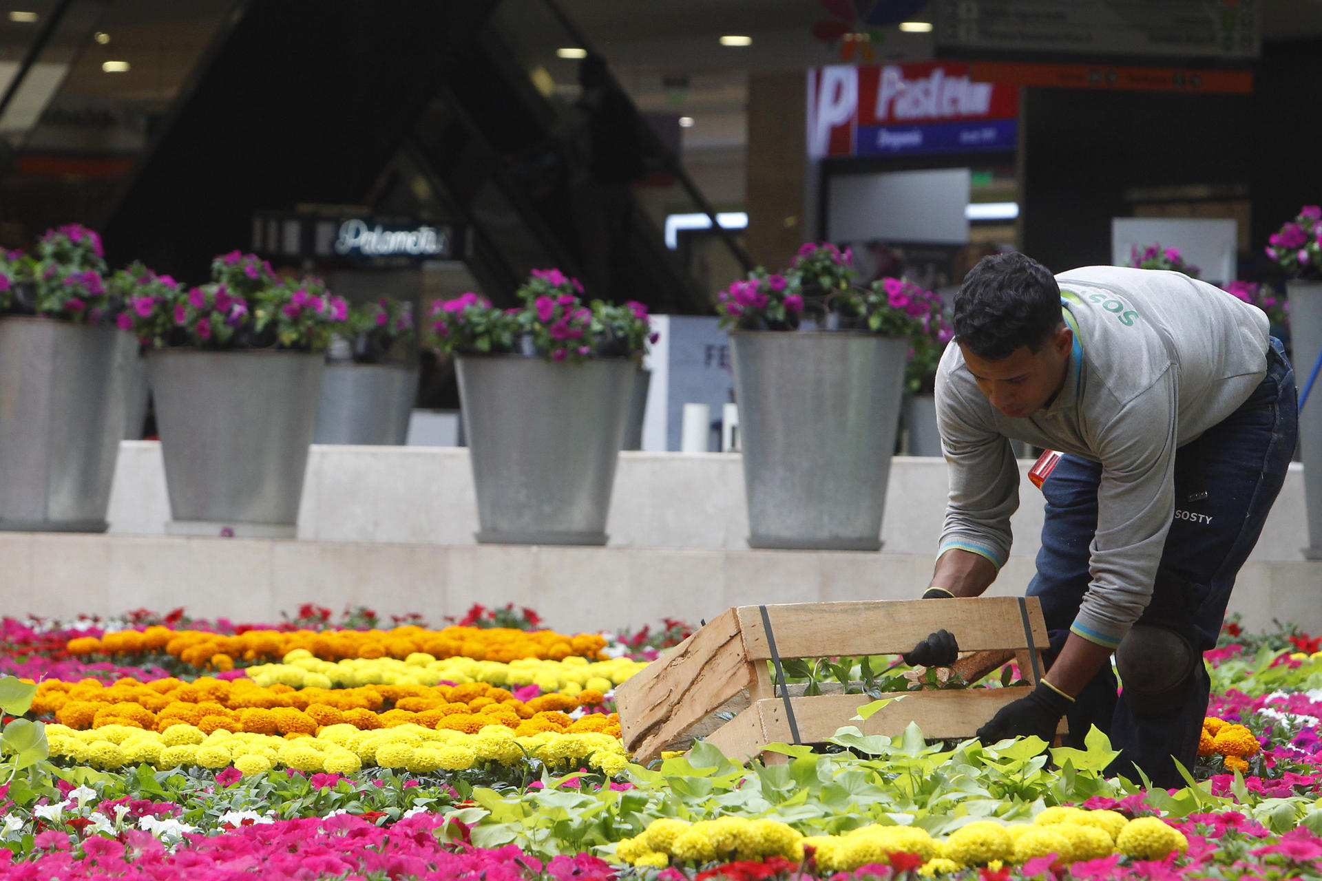 Trabajadores realizando el tapete floral.