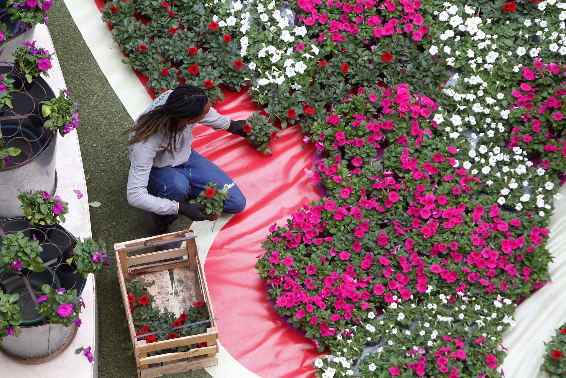 Feria de las Flores se llevará a cabo entre el 28 de julio y el 7 de agosto.