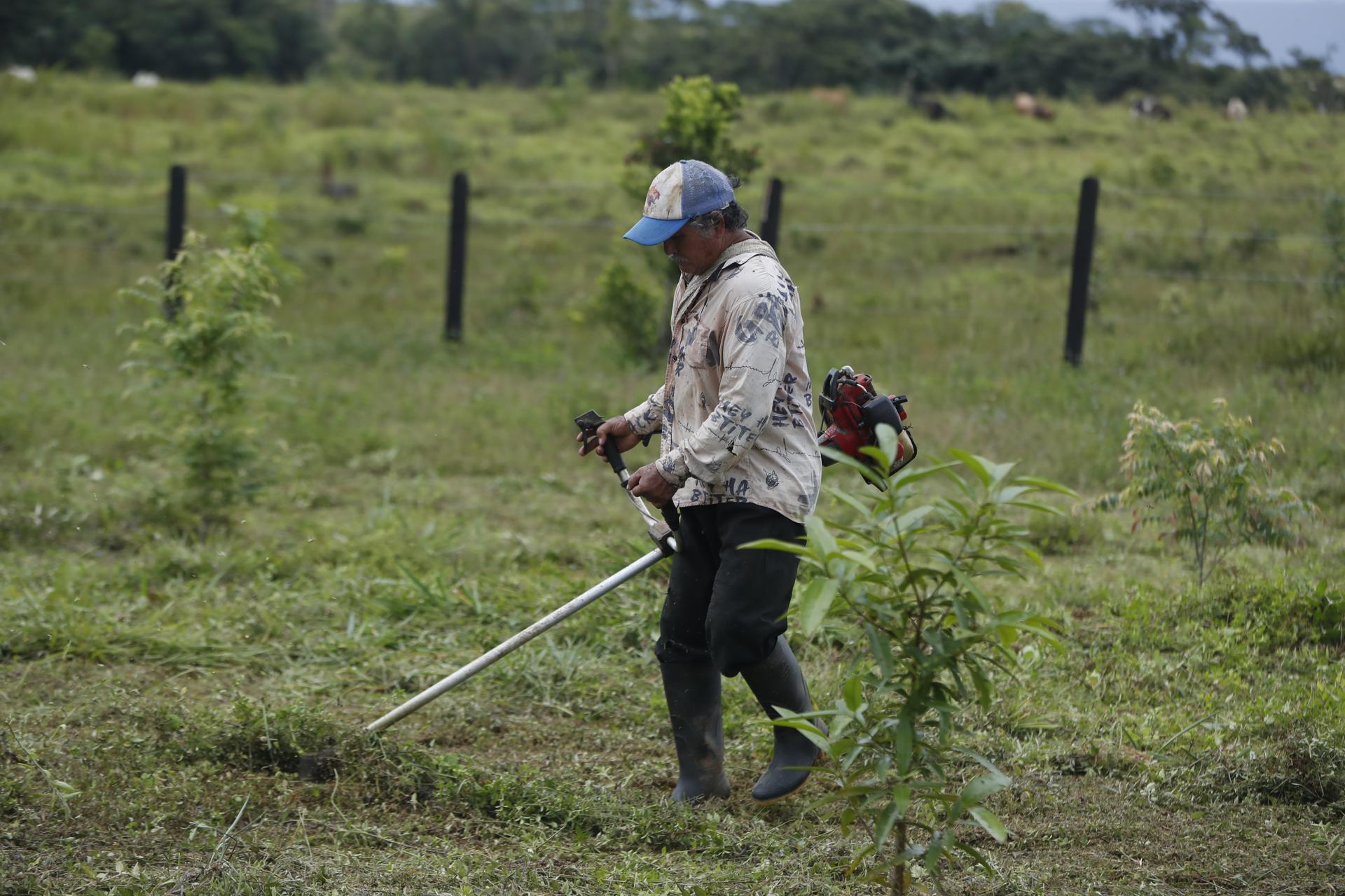 Campesino en el predio de la Junta de Acción Comunal.