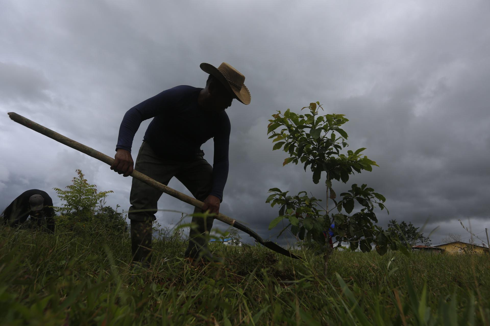 Campesino limpia el predio de la Junta de Acción Comunal.
