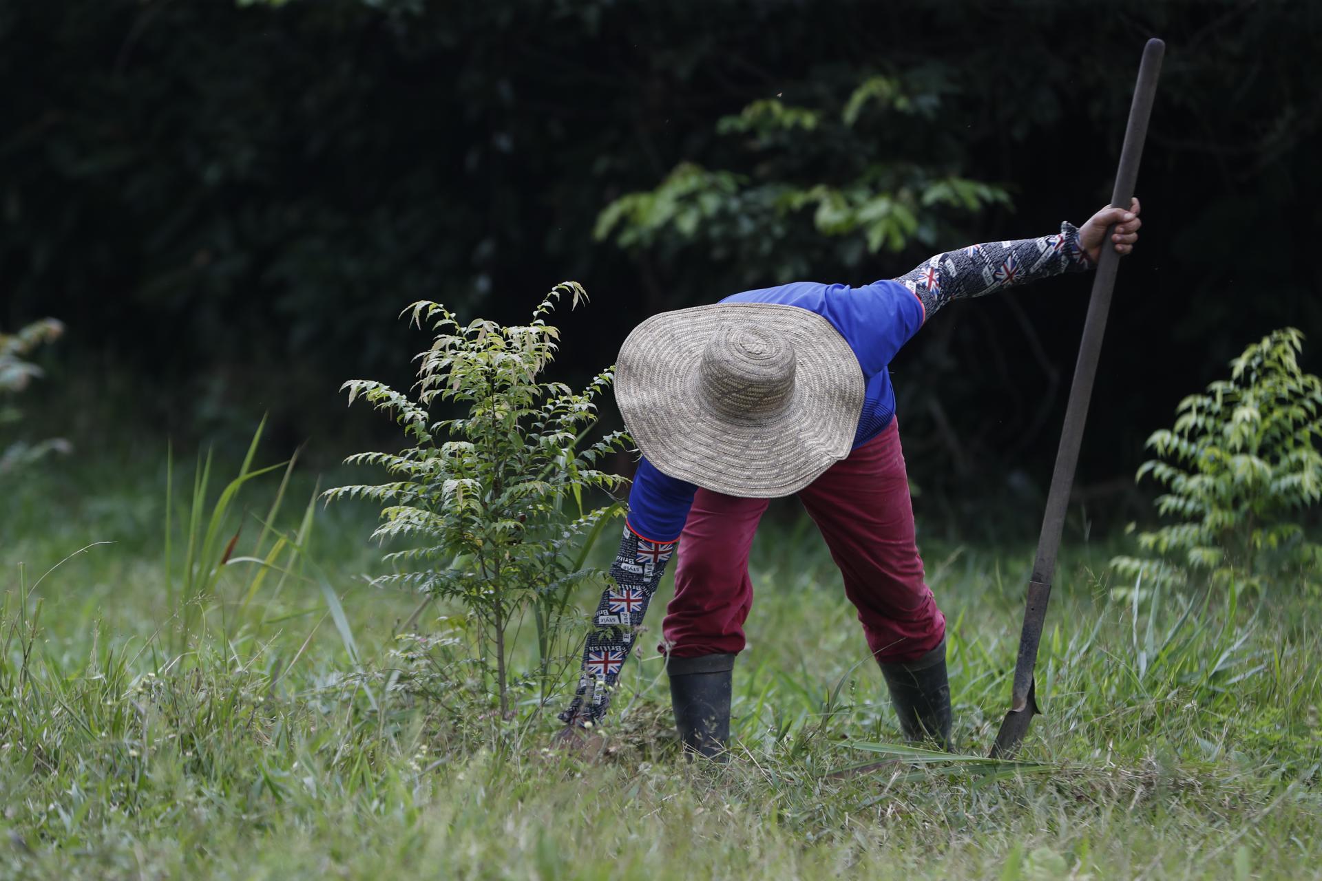 Campesino limpia el predio de la Junta de Acción Comunal.