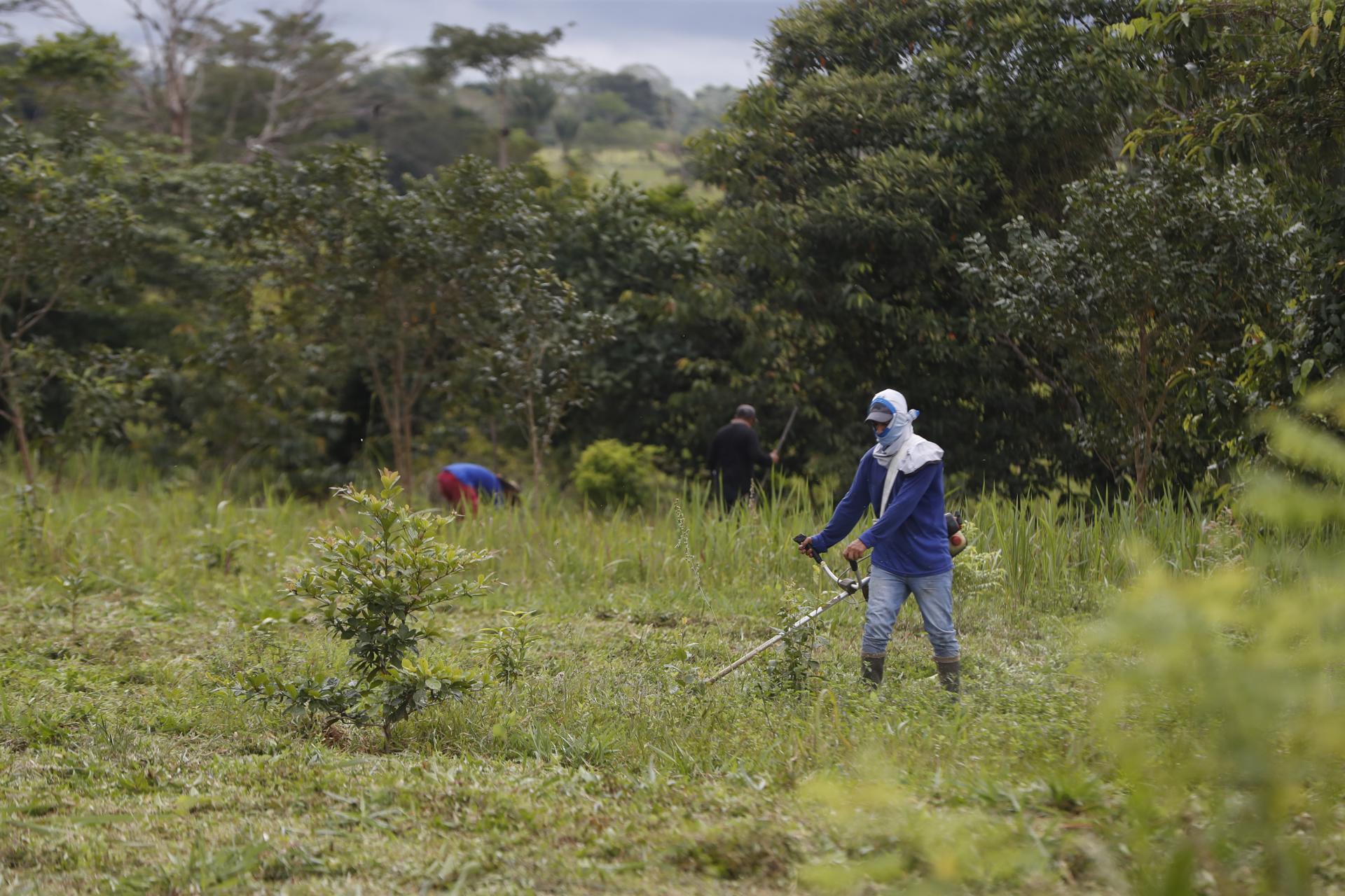 Campesino integrante del programa "Corazón de la Amazonía".