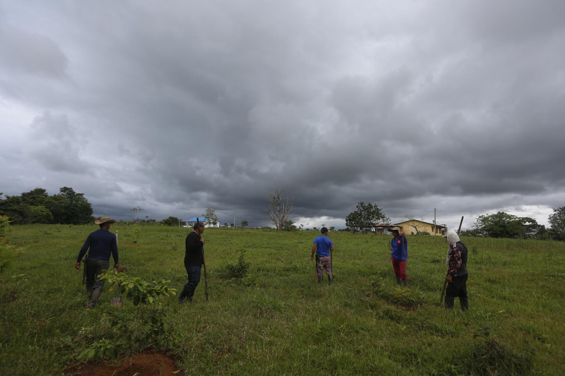 Campesinos integrantes del programa "Corazón de la Amazonía".