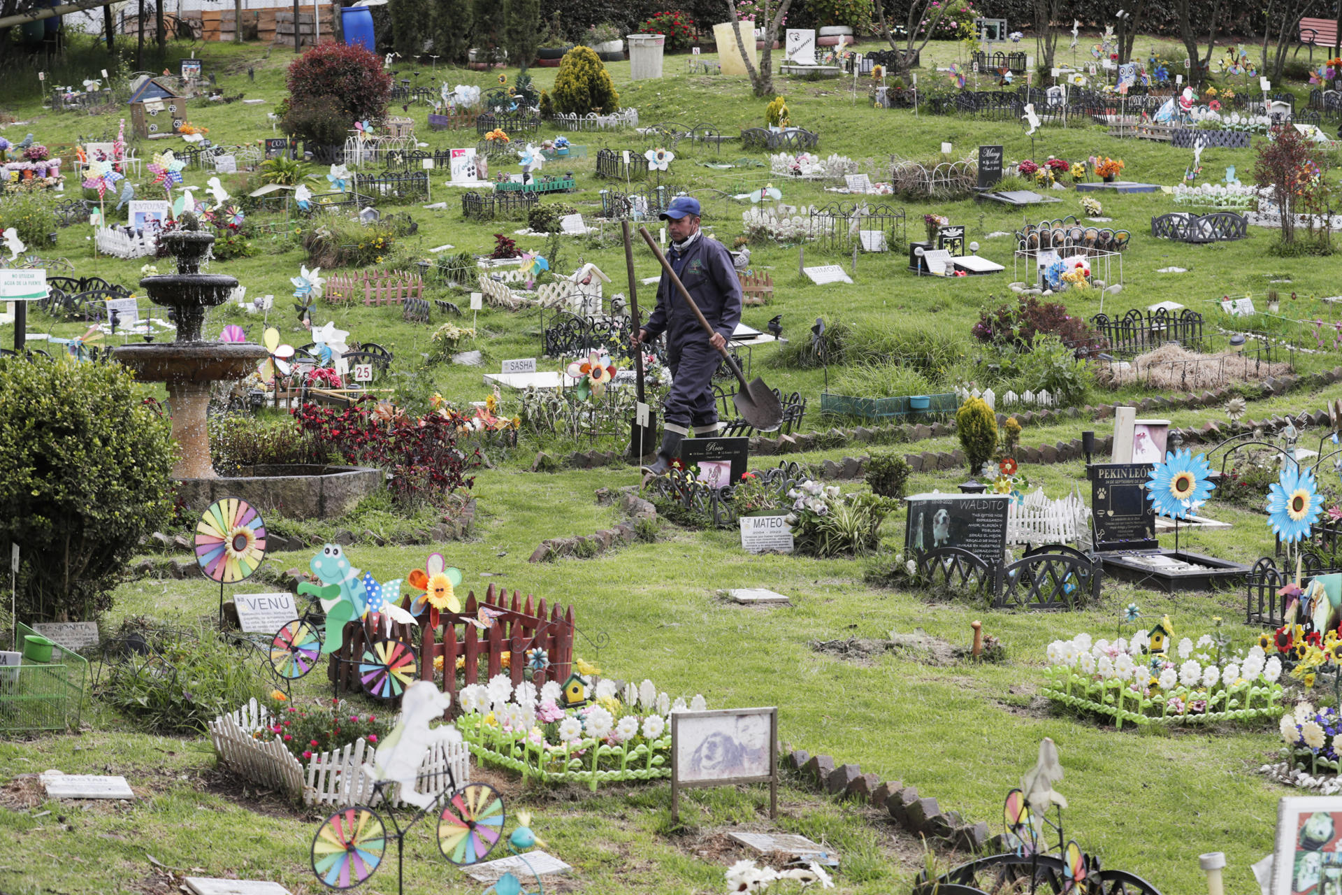 Cementerio de mascotas.