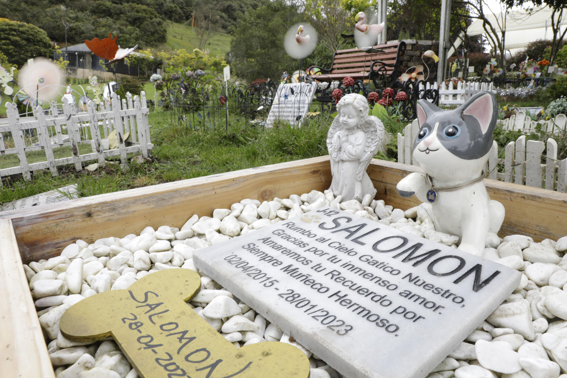 Cementerio de mascotas.