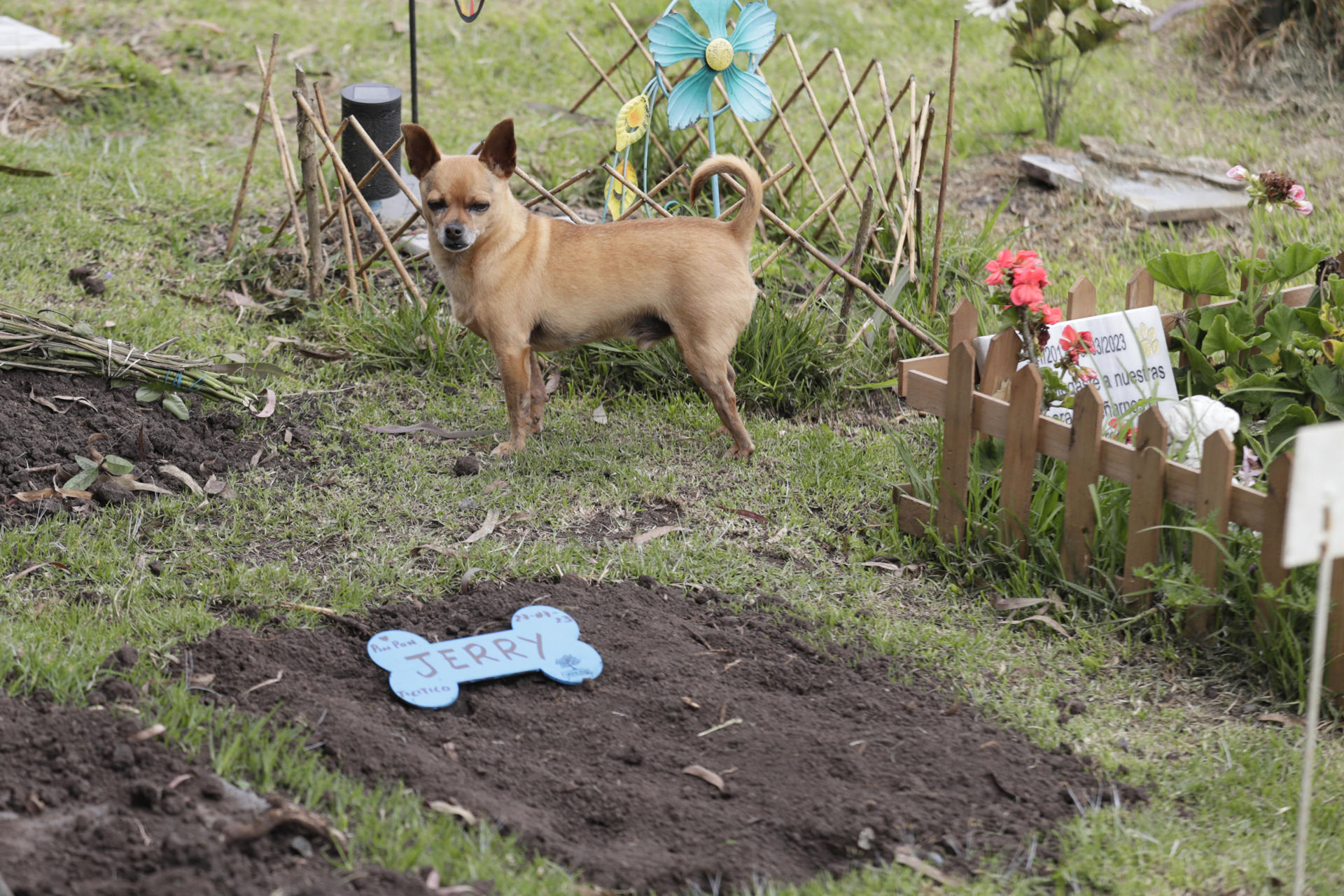 Cementerio de mascotas en Bogotá.