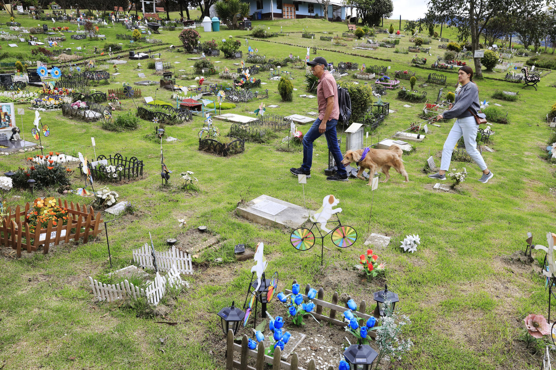 Cementerio de mascotas.