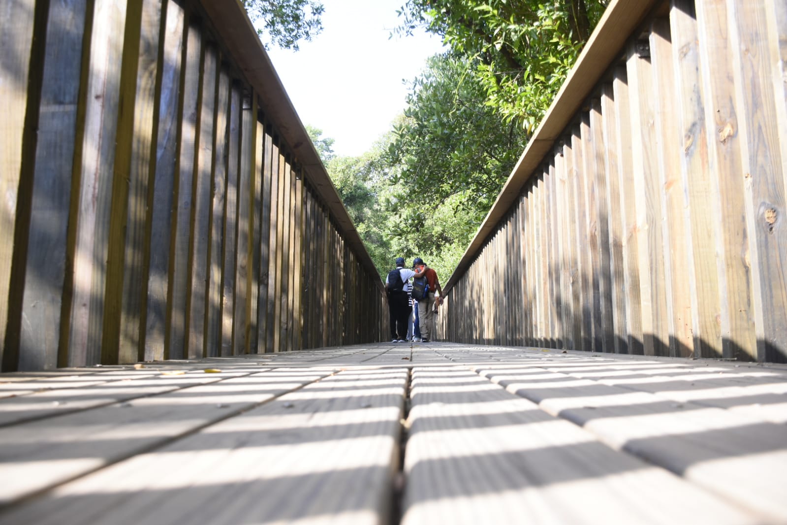 Así son los senderos del Ecoparque Ciénaga de Mallorquín.