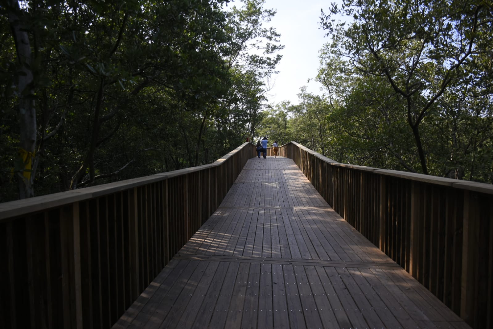 Así se aprecia uno de los senderos del Ecoparque Ciénaga de Mallorquín.