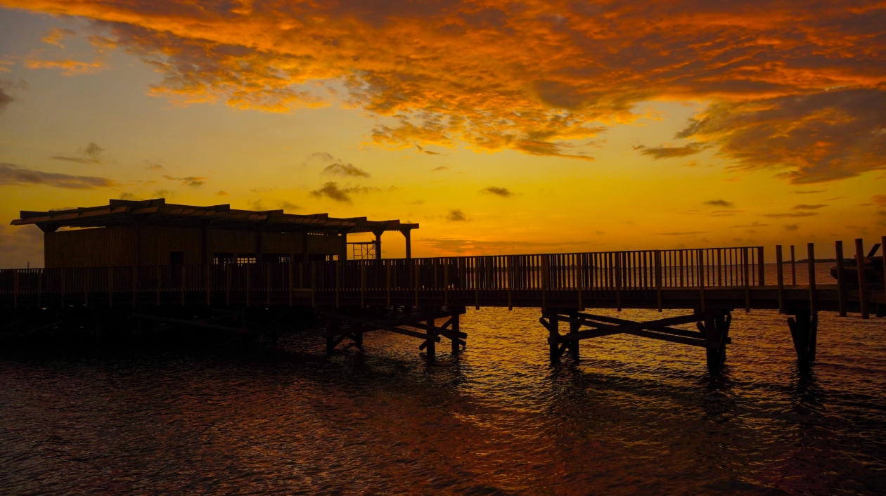 Atardecer en el Ecoparque Ciénaga de Mallorquín.