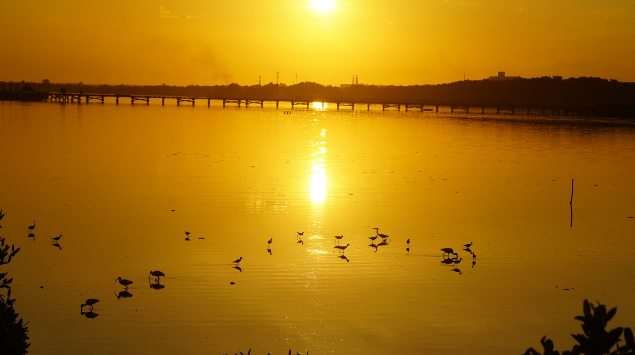 Atardecer en el Ecoparque Ciénaga de Mallorquín.