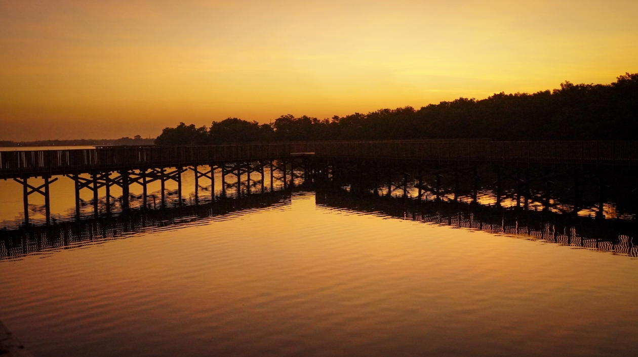 Amanecer en el Ecoparque Ciénaga de Mallorquín.